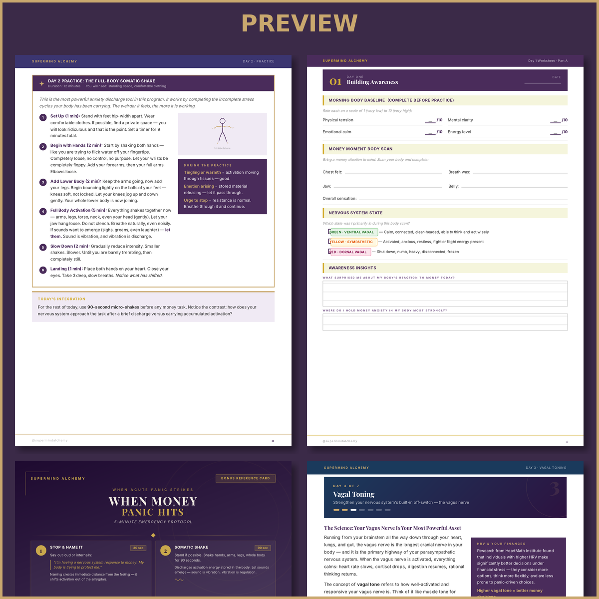 The 7-Day Nervous System Money Reset — Complete Digital Program (64 Pages)