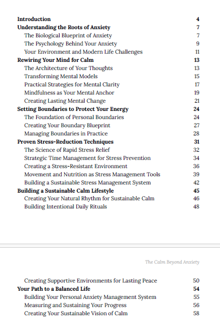 The Calm Beyond Anxiety: Transform Workplace Stress into Professional Success in Just 10 Minutes a Day